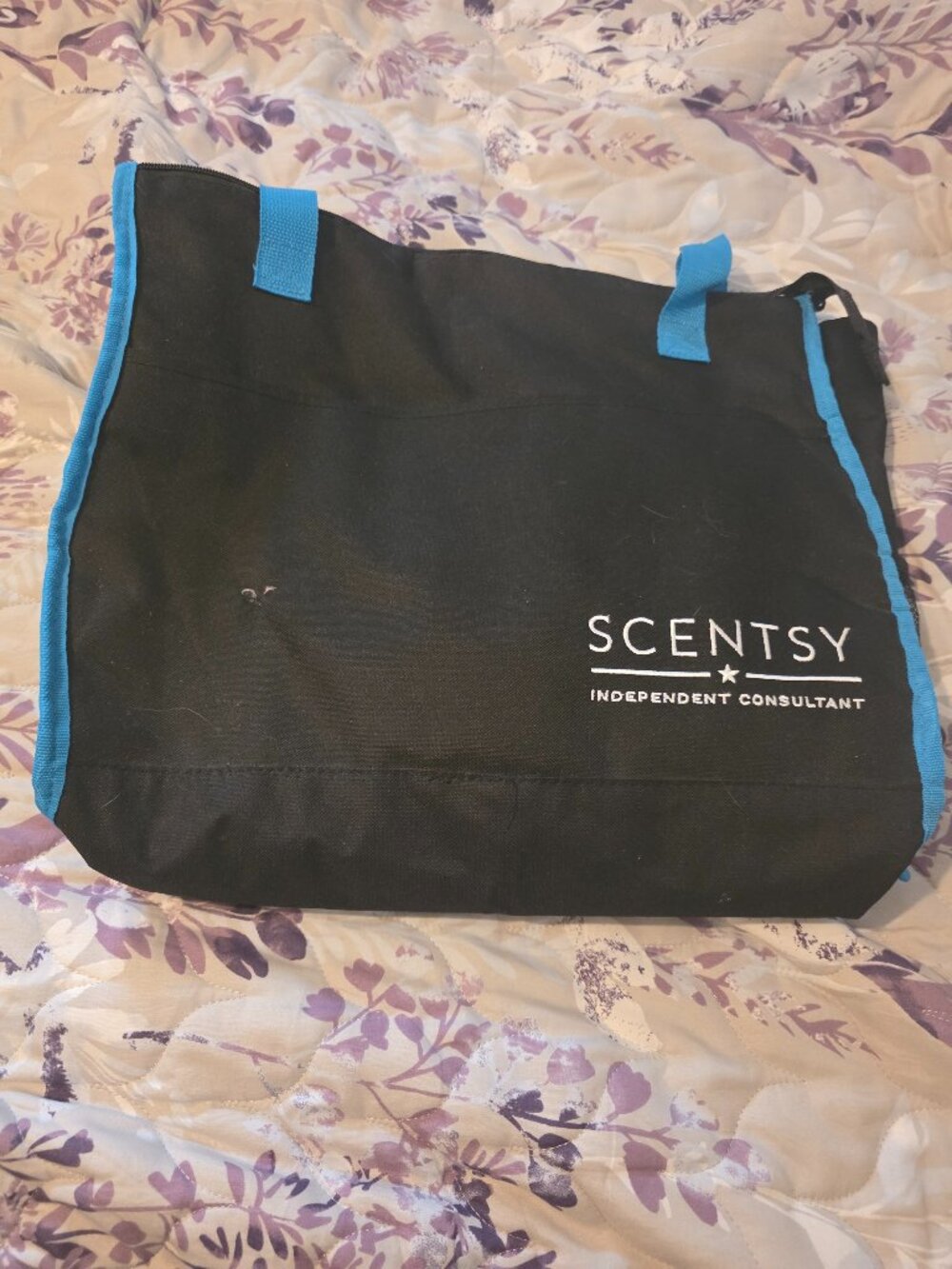 Scentsy cooler bag